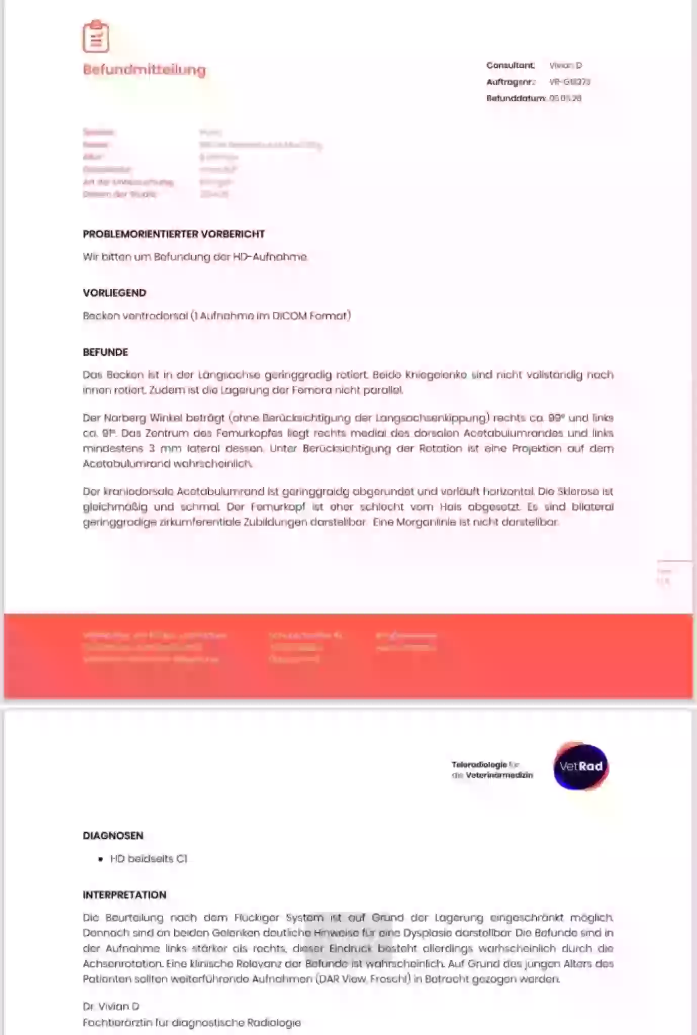 Tierärztlicher Befund der Teleradiologie